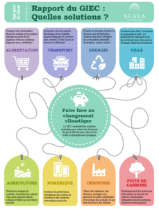 Rapport Du GIEC : Les Solutions Proposées Face Au Changement Climatique ...
